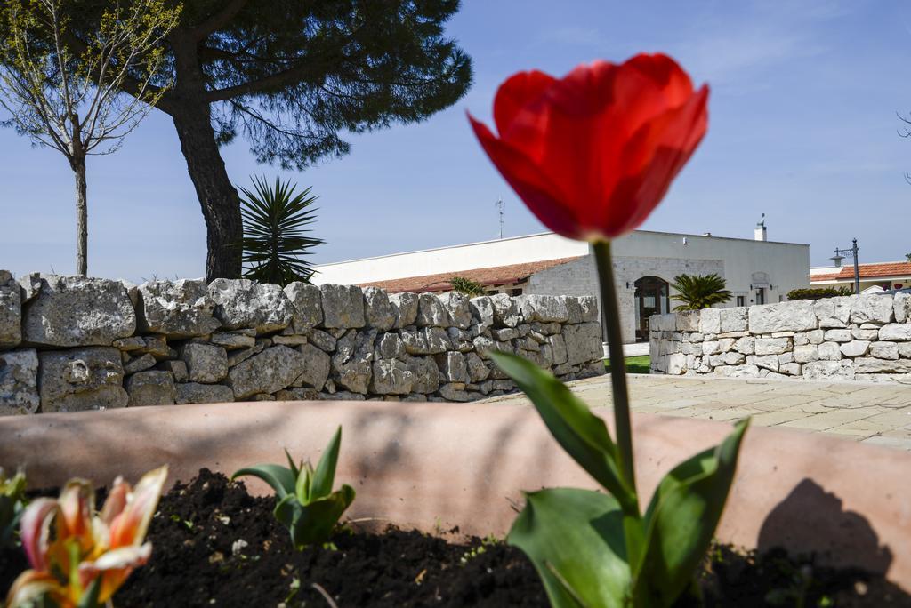 טורי Masseria Gravelle מראה חיצוני תמונה