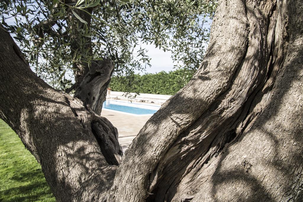 טורי Masseria Gravelle מראה חיצוני תמונה